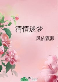 清情迷梦